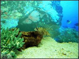 海洋风照片,捕捉自然之美