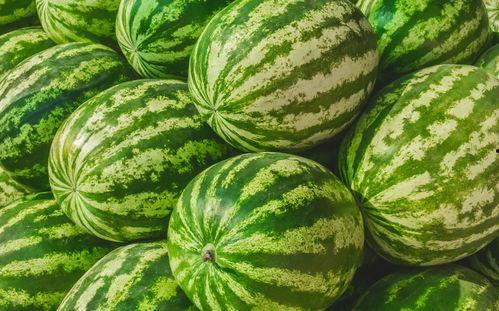 娱乐吃瓜素材在哪找到的